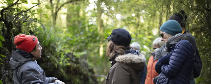 Natuur- en yogaretraite – Zuidereiland, Nieuw-Zeeland met Joan Hyman | Maruia River Retreat: luxe wellnessresort in Nieuw-Zeeland