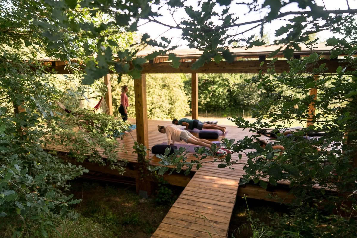 Olijvenoogst-retreat in Toscane | Verblijf op de boerderij & gastronomische ervaring — Maraviglia Farm Stay in Toscane