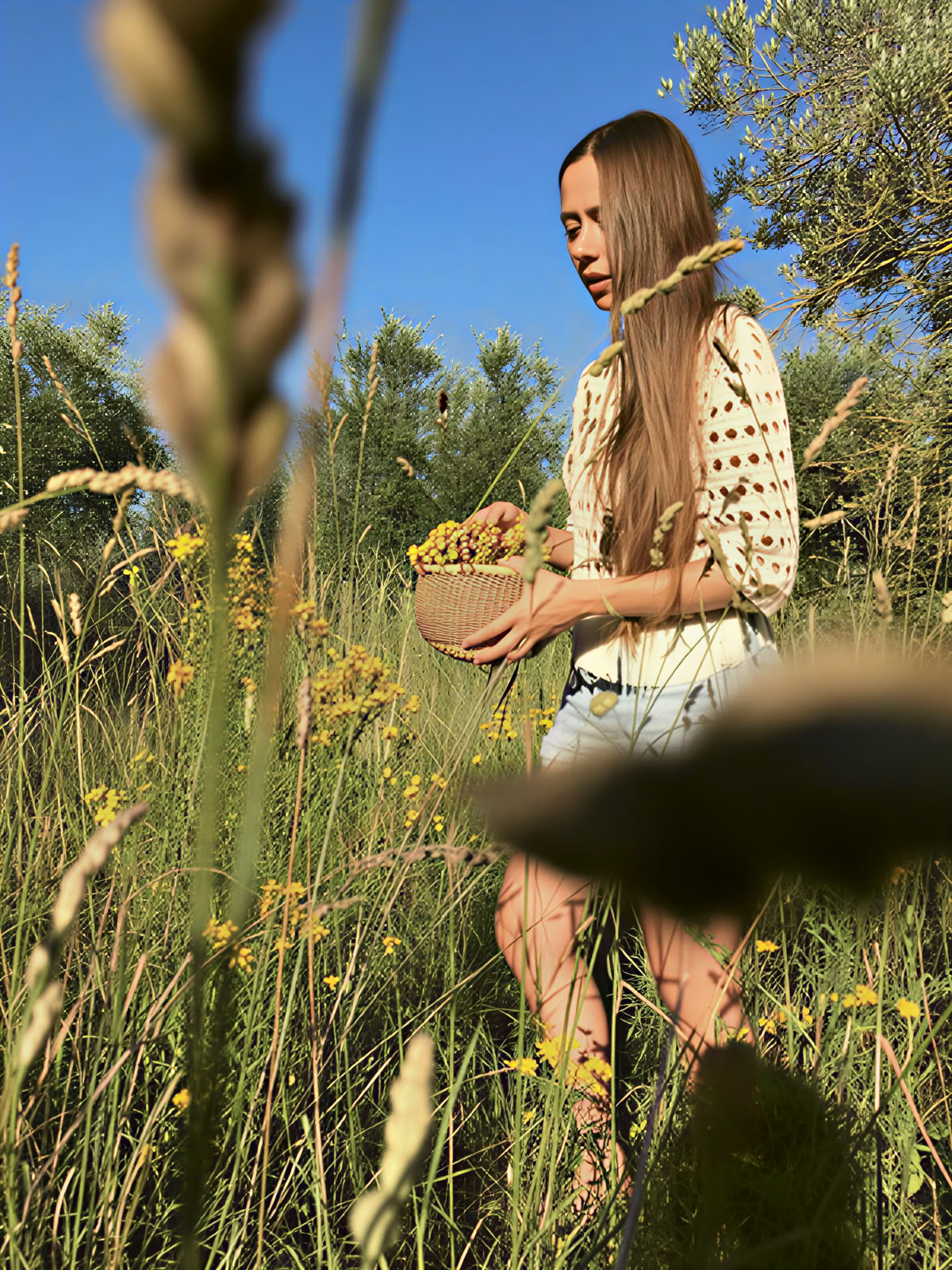 Lente-yogaretreat in Toscane | Boerderijverblijf-ervaring — Maraviglia Farm Stay in Toscane