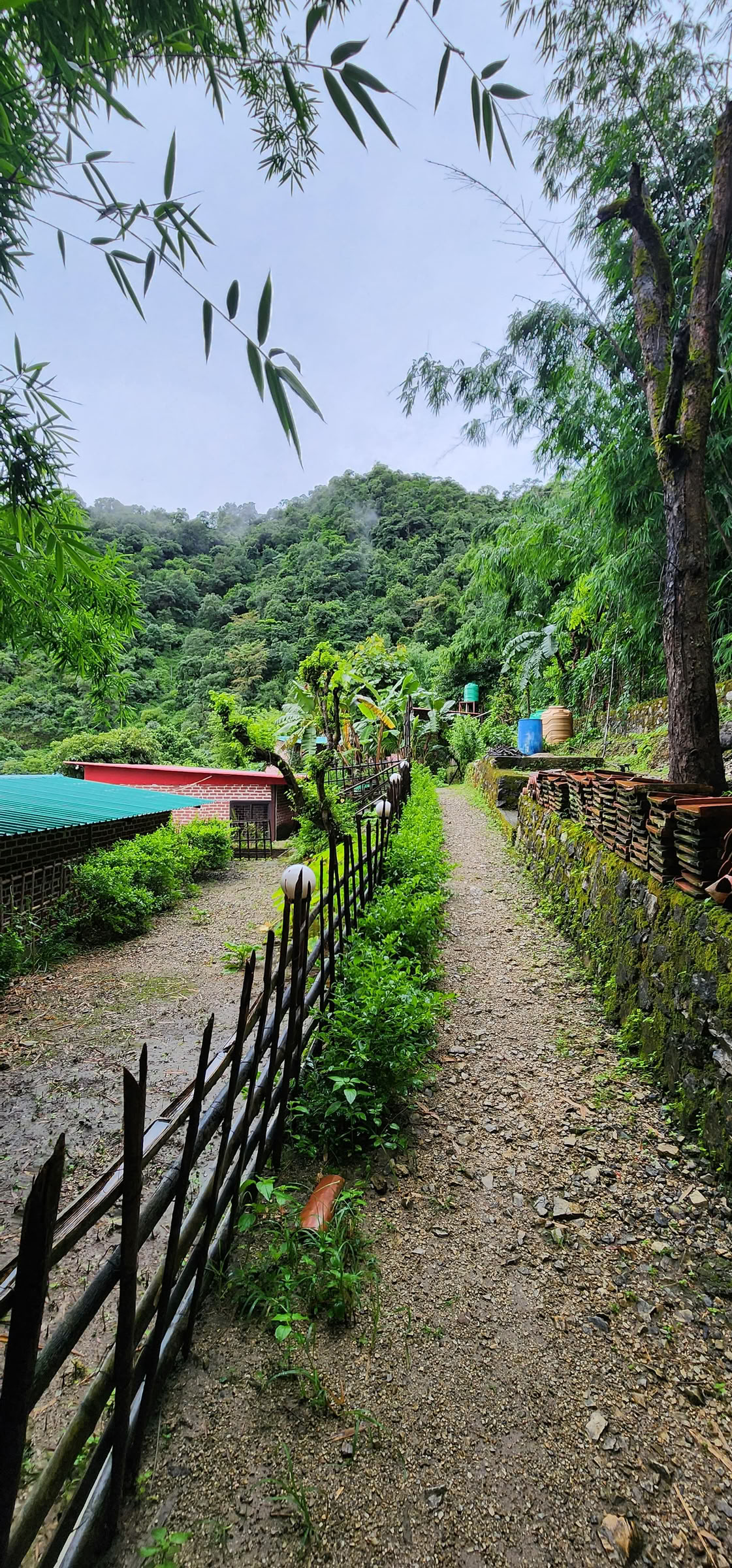 6-daagse overgave-retraite in Rishikesh