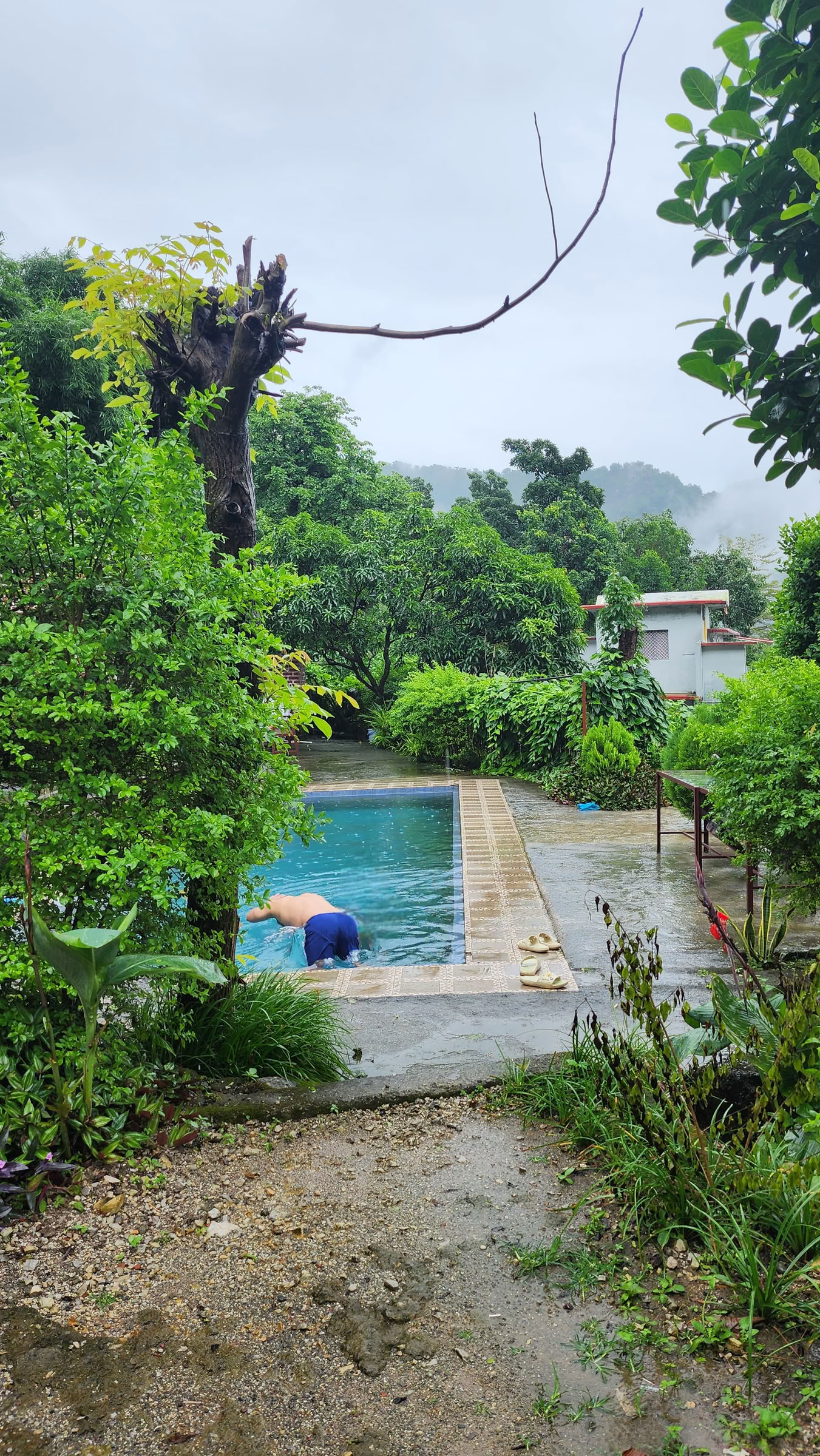 6-daagse overgave-retraite in Rishikesh