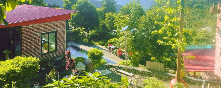 6-daagse overgave-retraite in Rishikesh