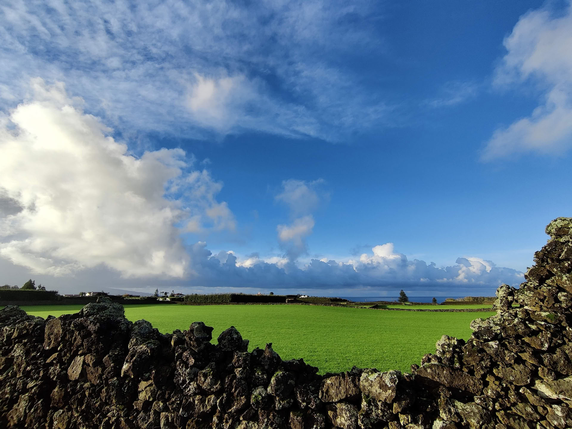 Dompel je onder in MYMINUVIDA - MINUVIDA AZORES