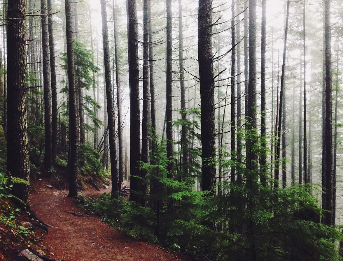Poonhill - Yogatrek