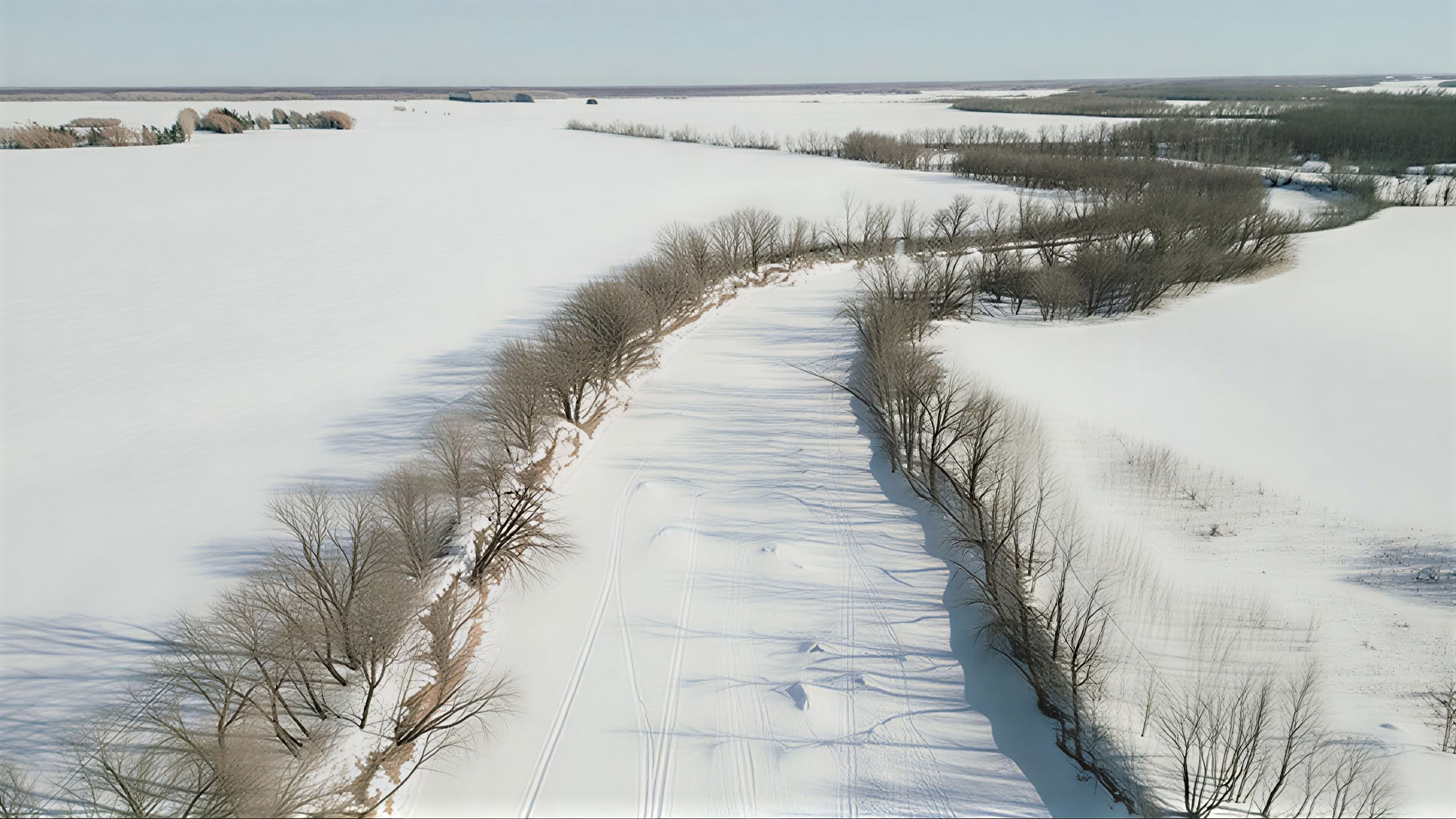 Métis Kunst- en Cultuurdag 2026