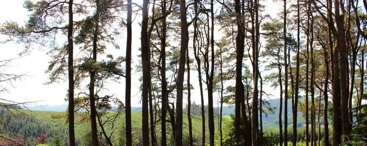 Terug naar Mucklagh - Samhain — Mucklagh Lodge