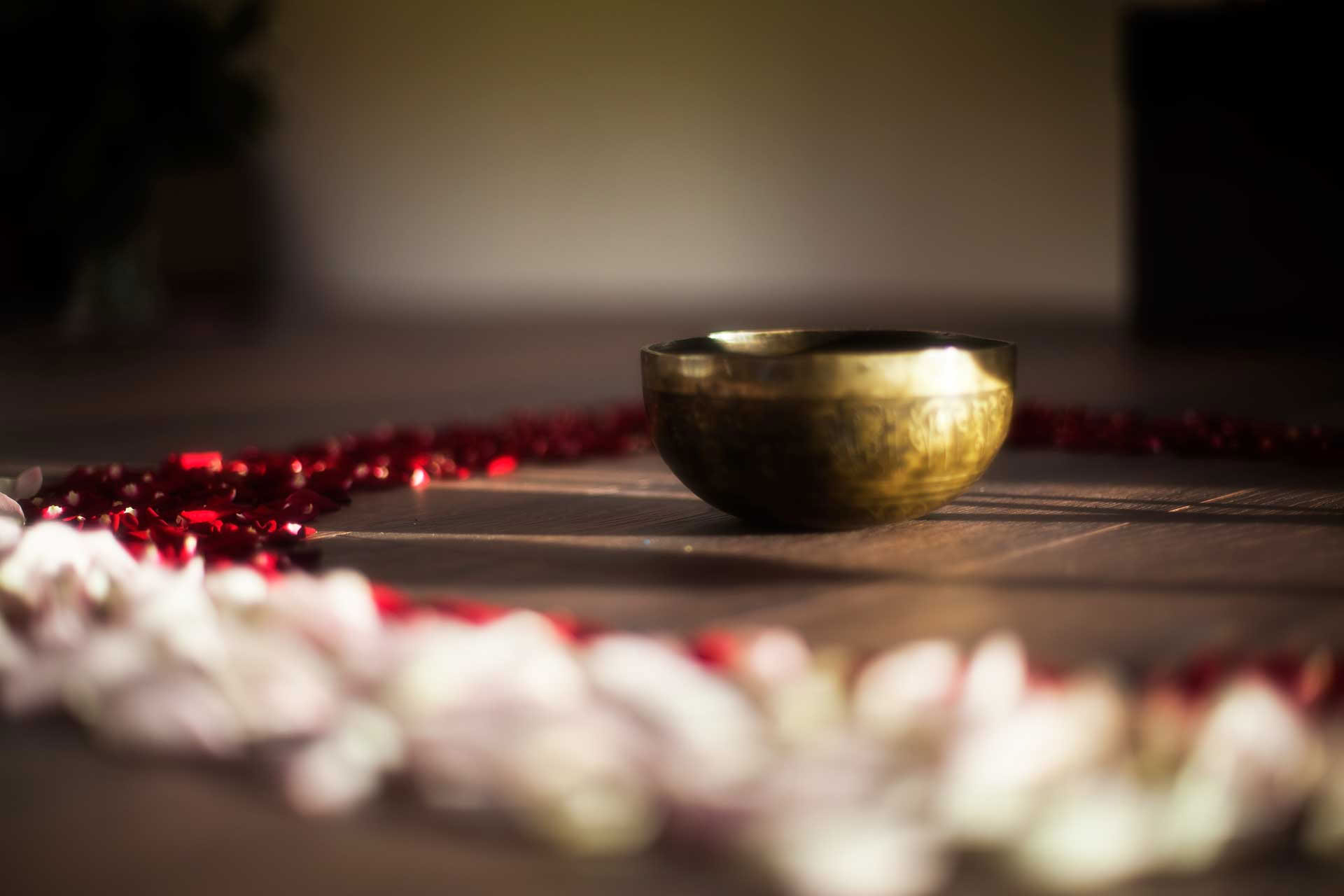 Yoga-retreat in de week van juli met Brian McVeigh