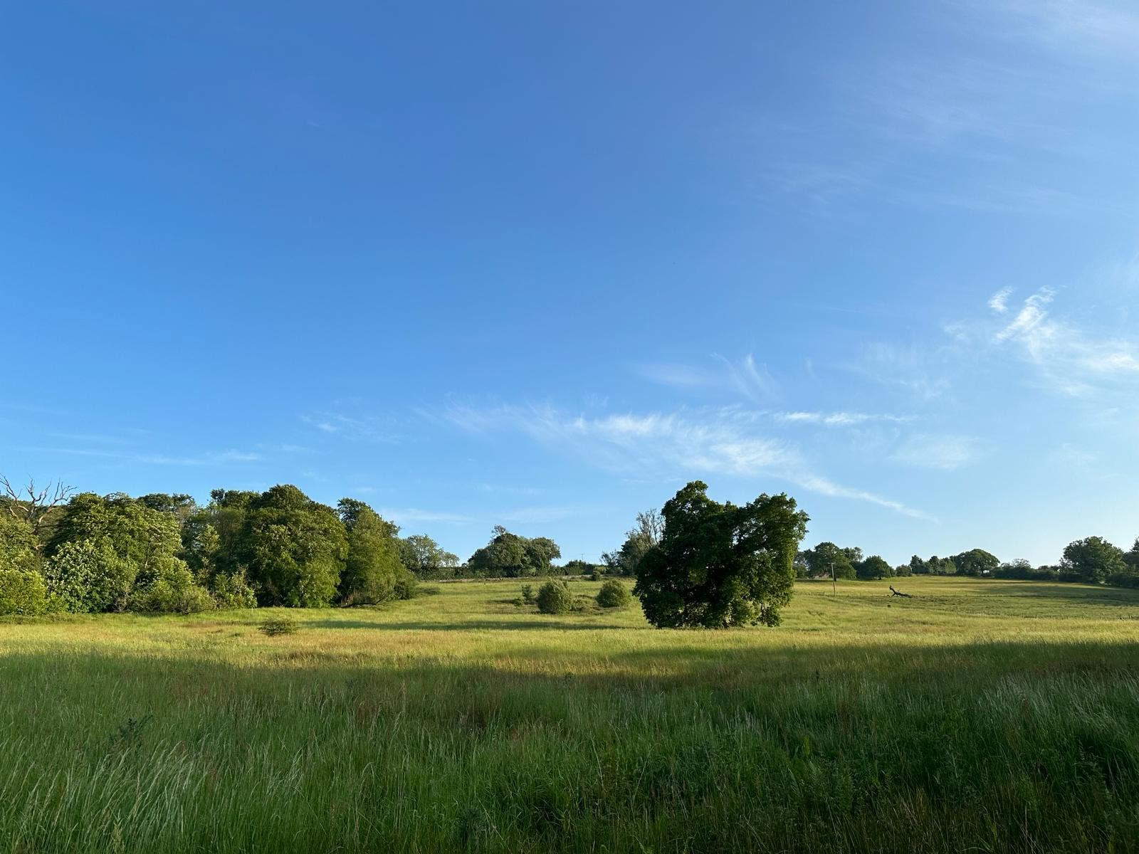 Poëzieschrijfretreat: Landschap als archief