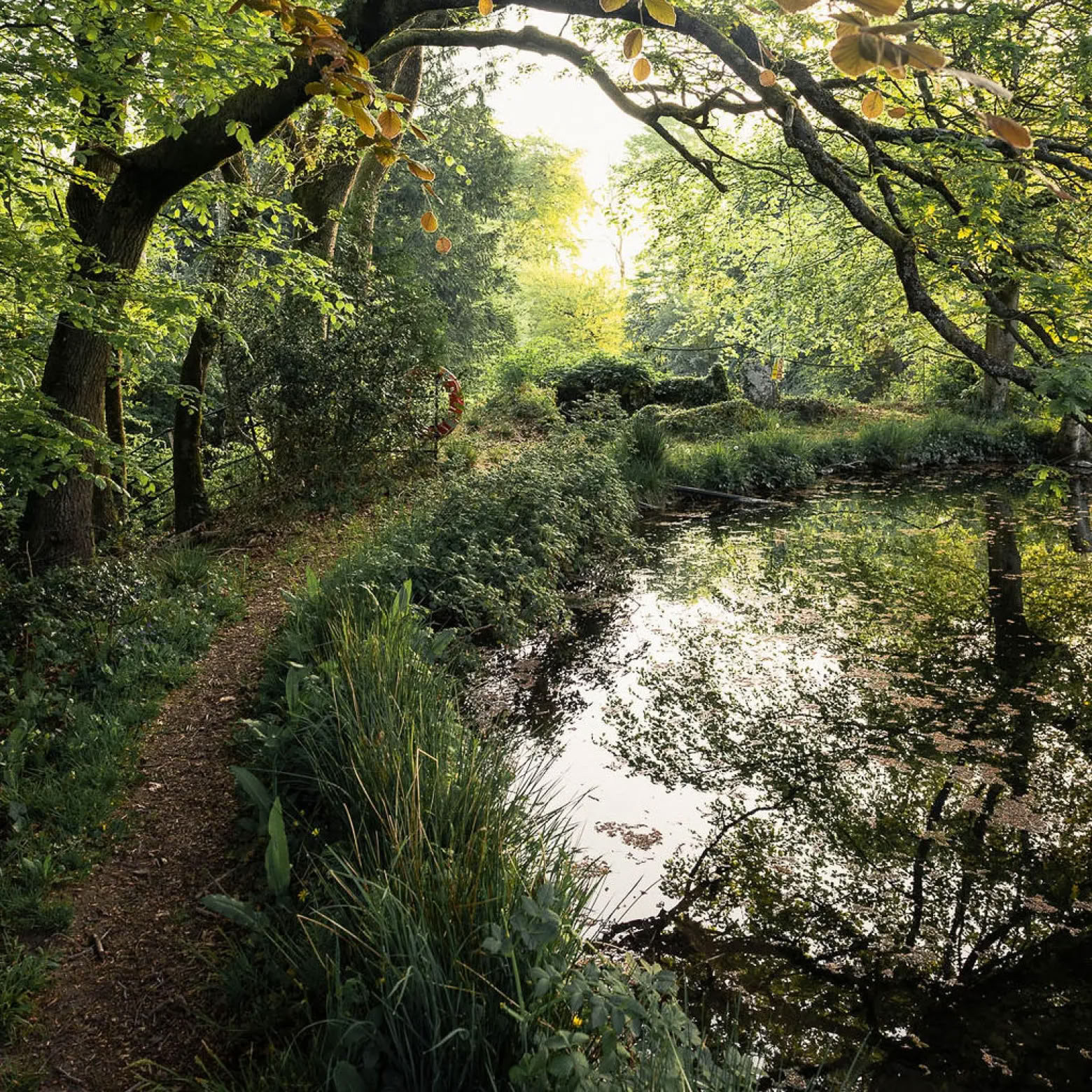 Leesretreat Somerset