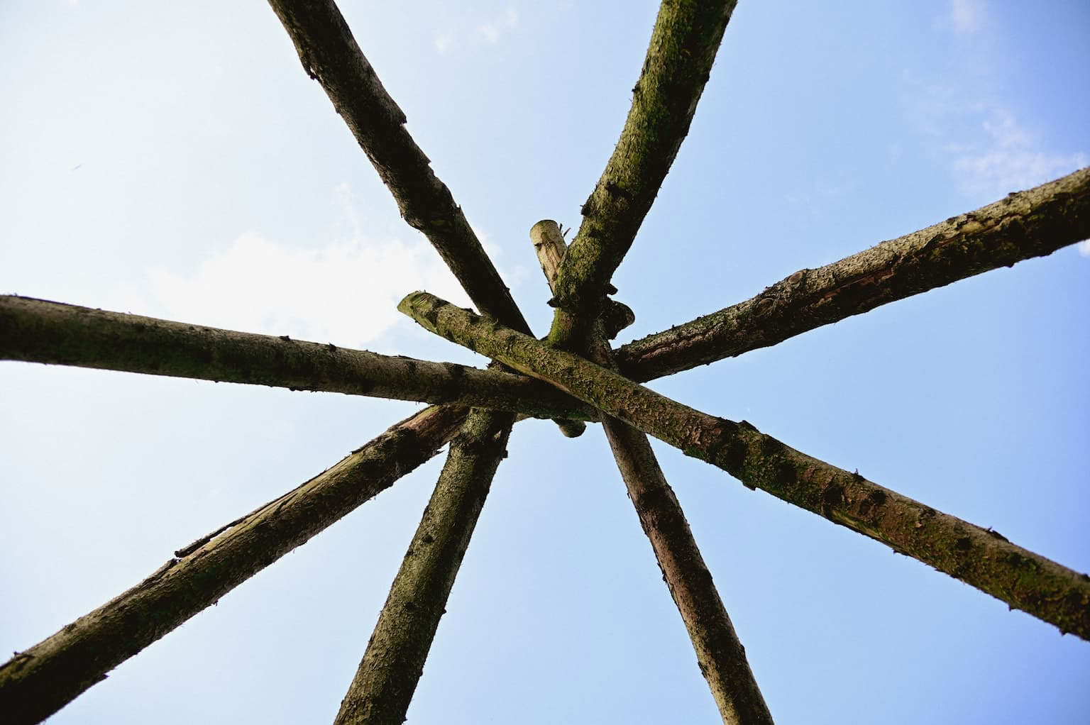 Ticket: Workshop voor welzijn