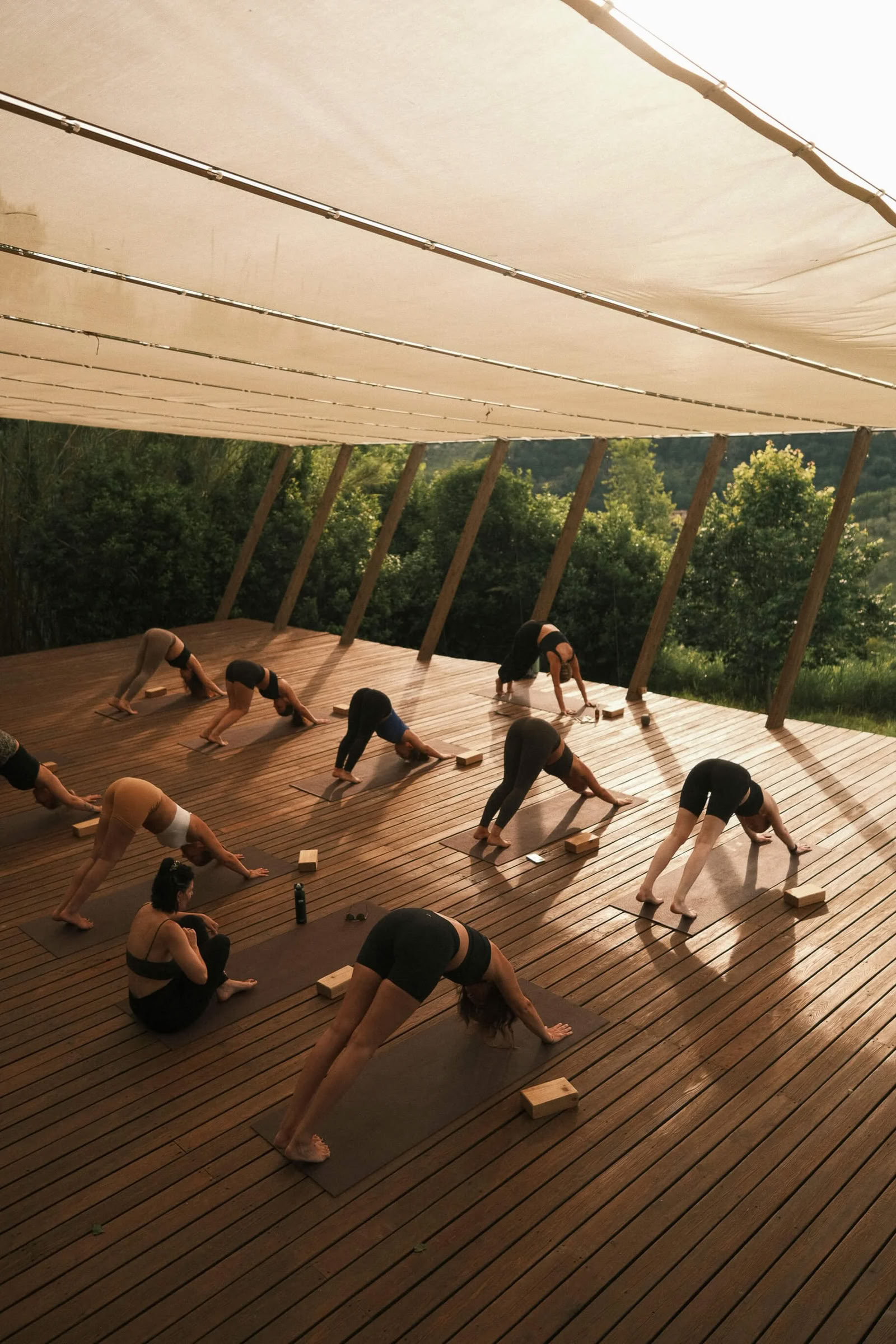 Vinyasa-yogaretraite voor innerlijke gloed
