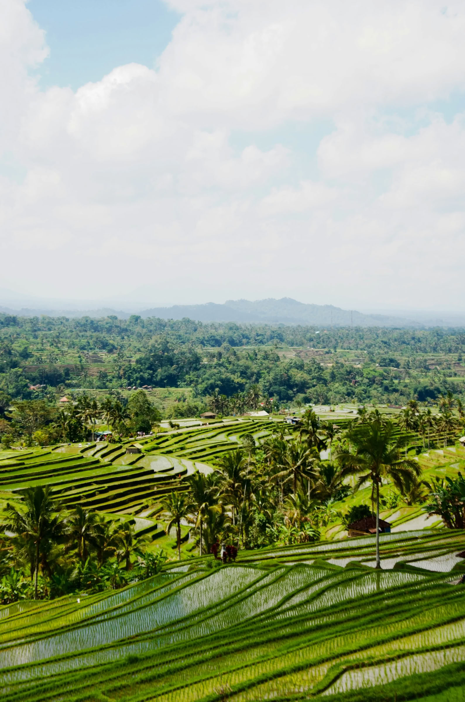Bali buiten de gebaande paden: rustige dag in het westen