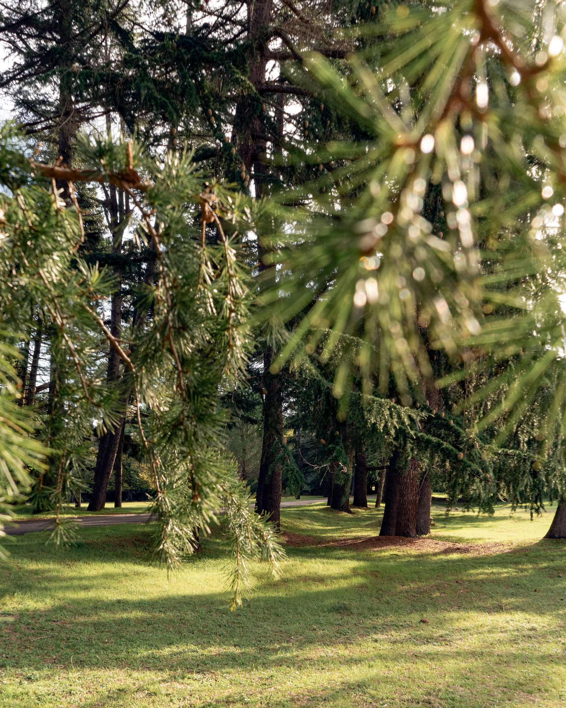 Retreat Vitaliteit