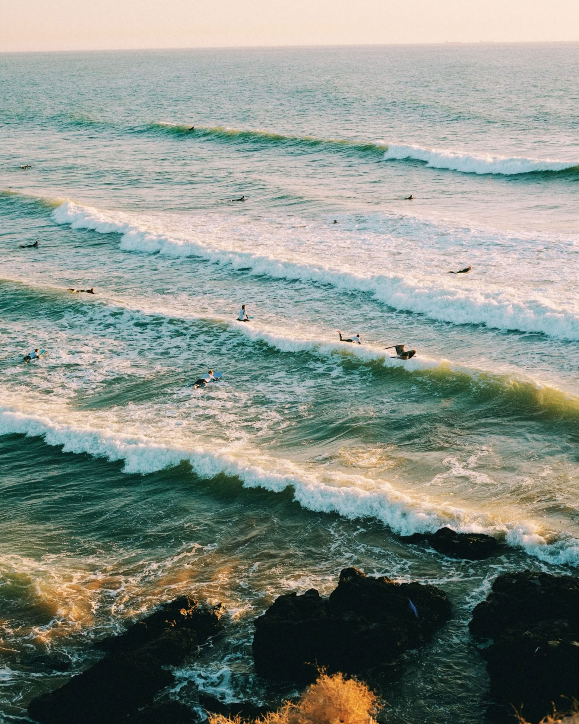 Werk, Surf & Verblijf