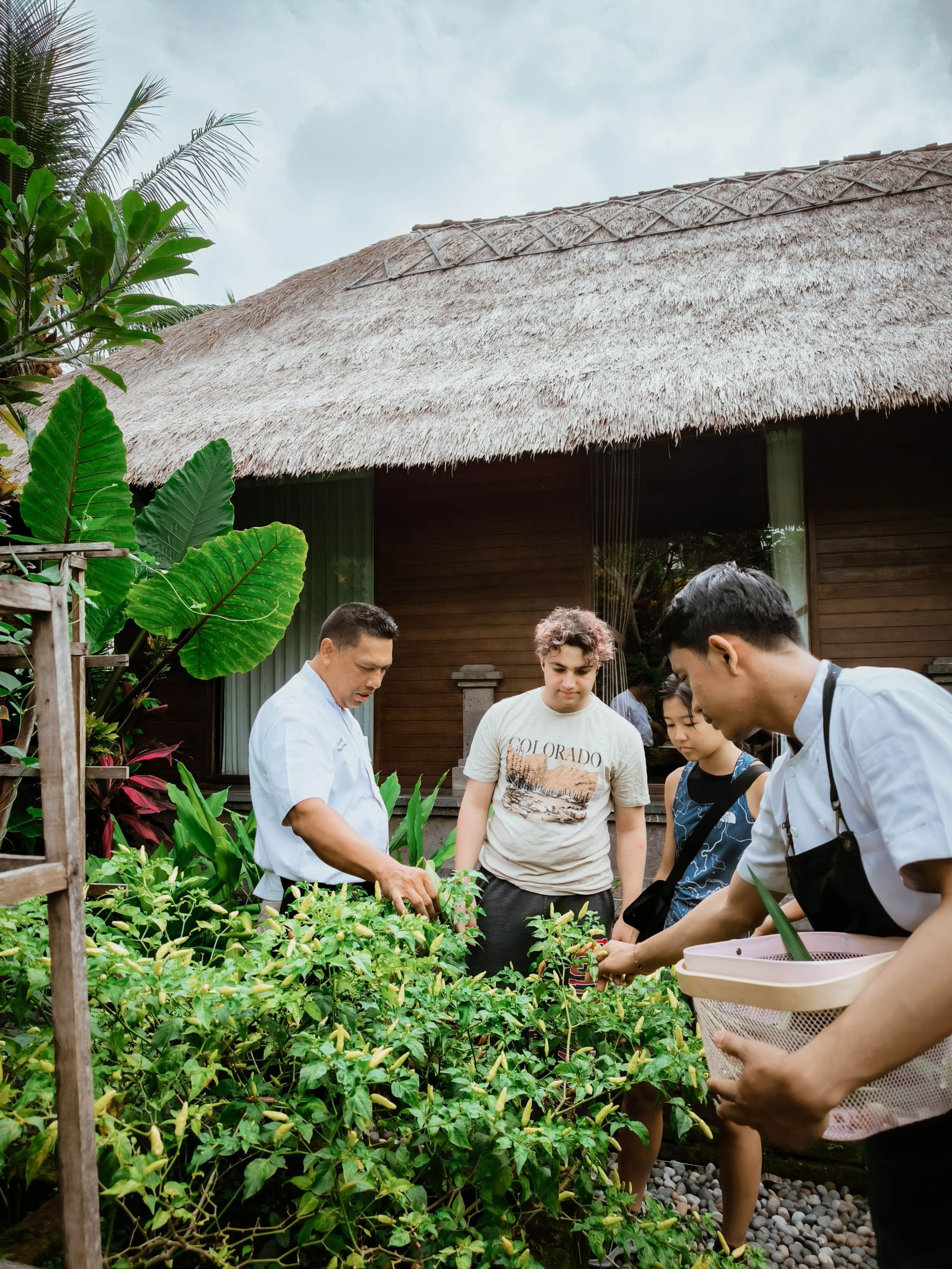 Een verrukkelijk avontuur in de Balinese keuken!