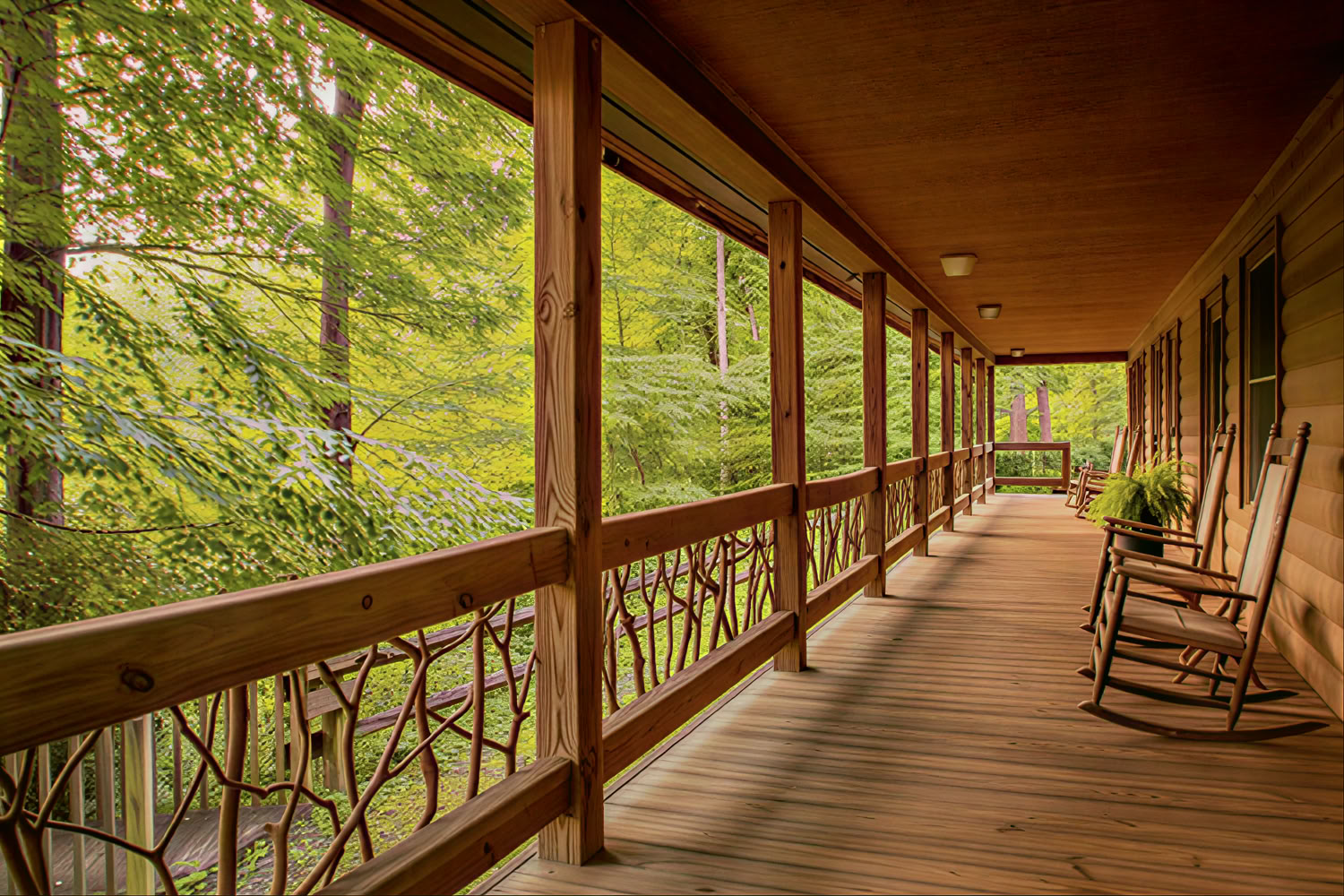 Yoga- en wandelretreat op de Mount Mitchell