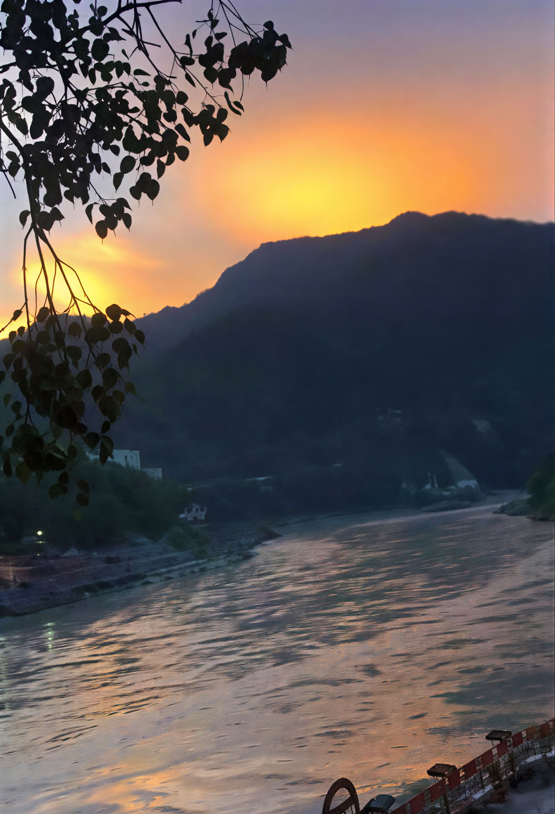 Ayurvedacursus in Rishikesh