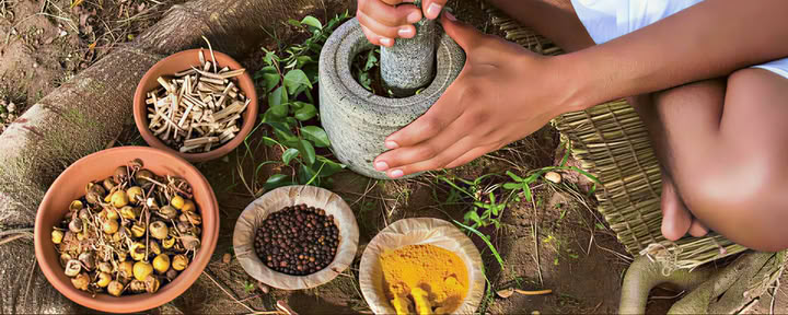 Ayurveda-docentenopleiding in Rishikesh