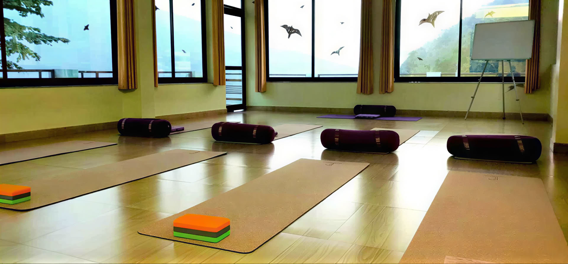 Ashtanga-yogaretraite