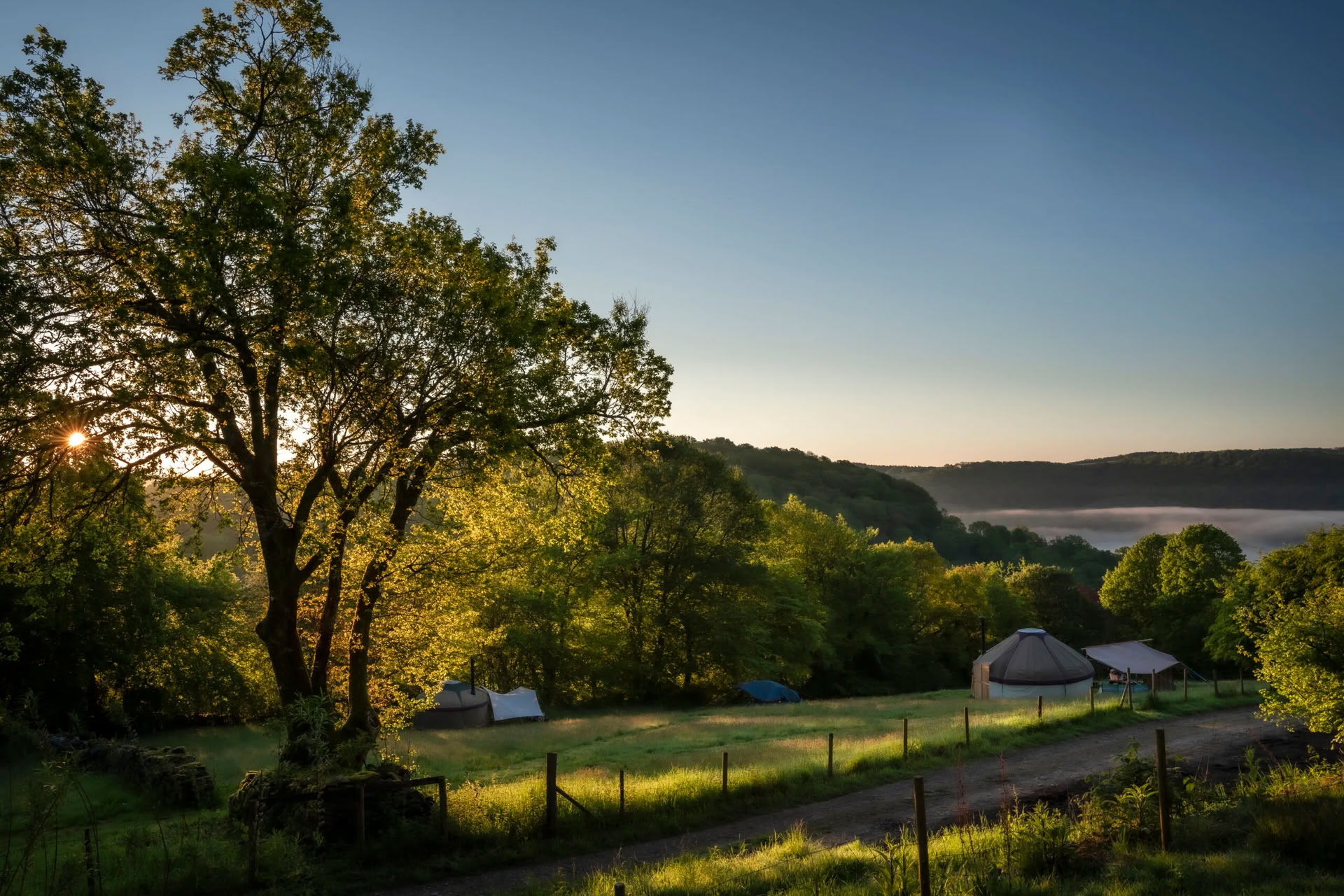Zomer Reset Dagretreat
