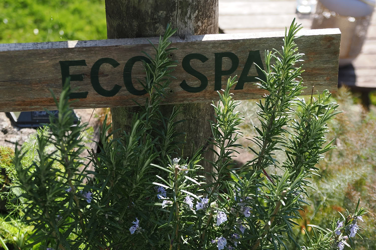 Zomer Reset Dagretreat