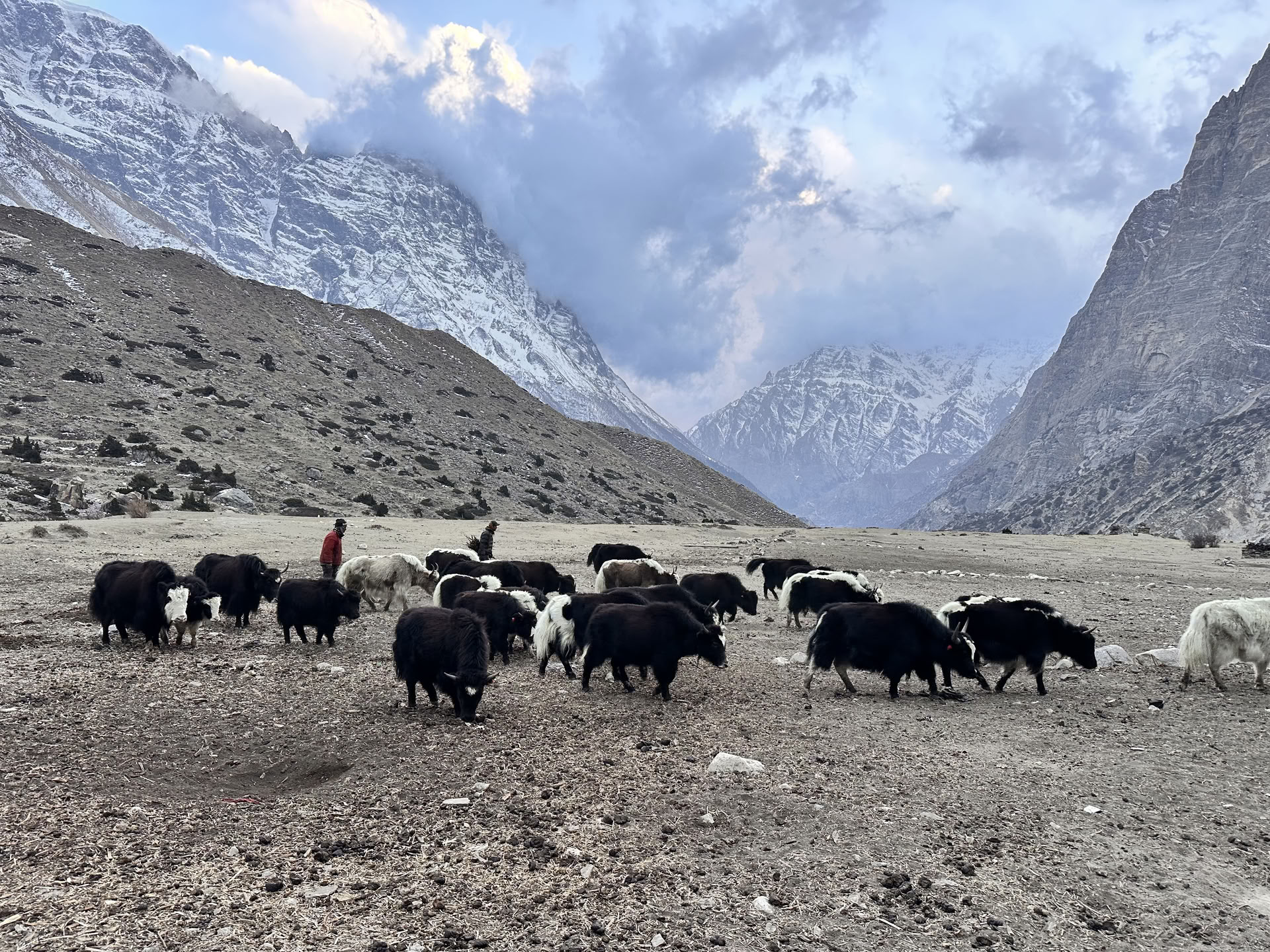 Yoga-trek over het Annapurna-circuit