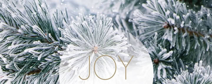 Yoga-pauze in december | met Joy Yoga — Landguet Ried, centrum voor mindful leven | retraitecentrum & seminarhuis