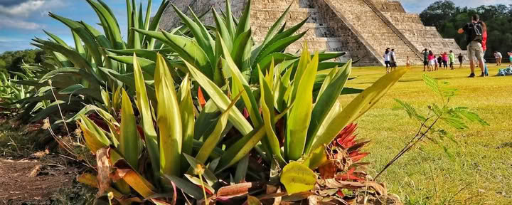 7-daagse detox aan zee: introductie tot Ayurveda plus yoga