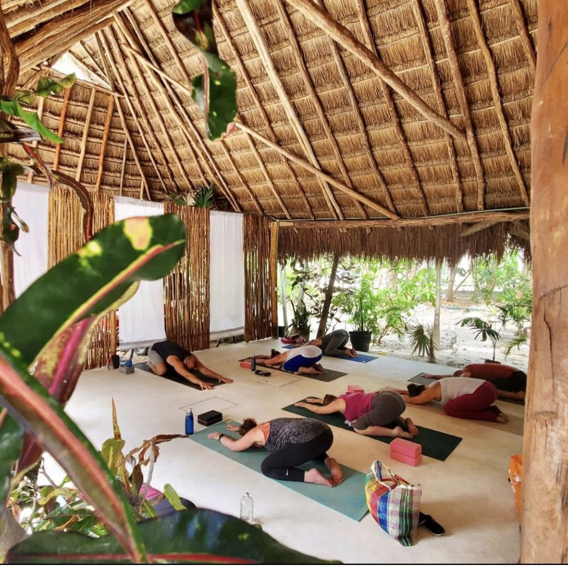 7-daagse yoga retraite in het paradijs in de Riviera Maya