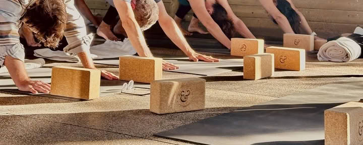 Niet-zo-serieuze yogaretreat