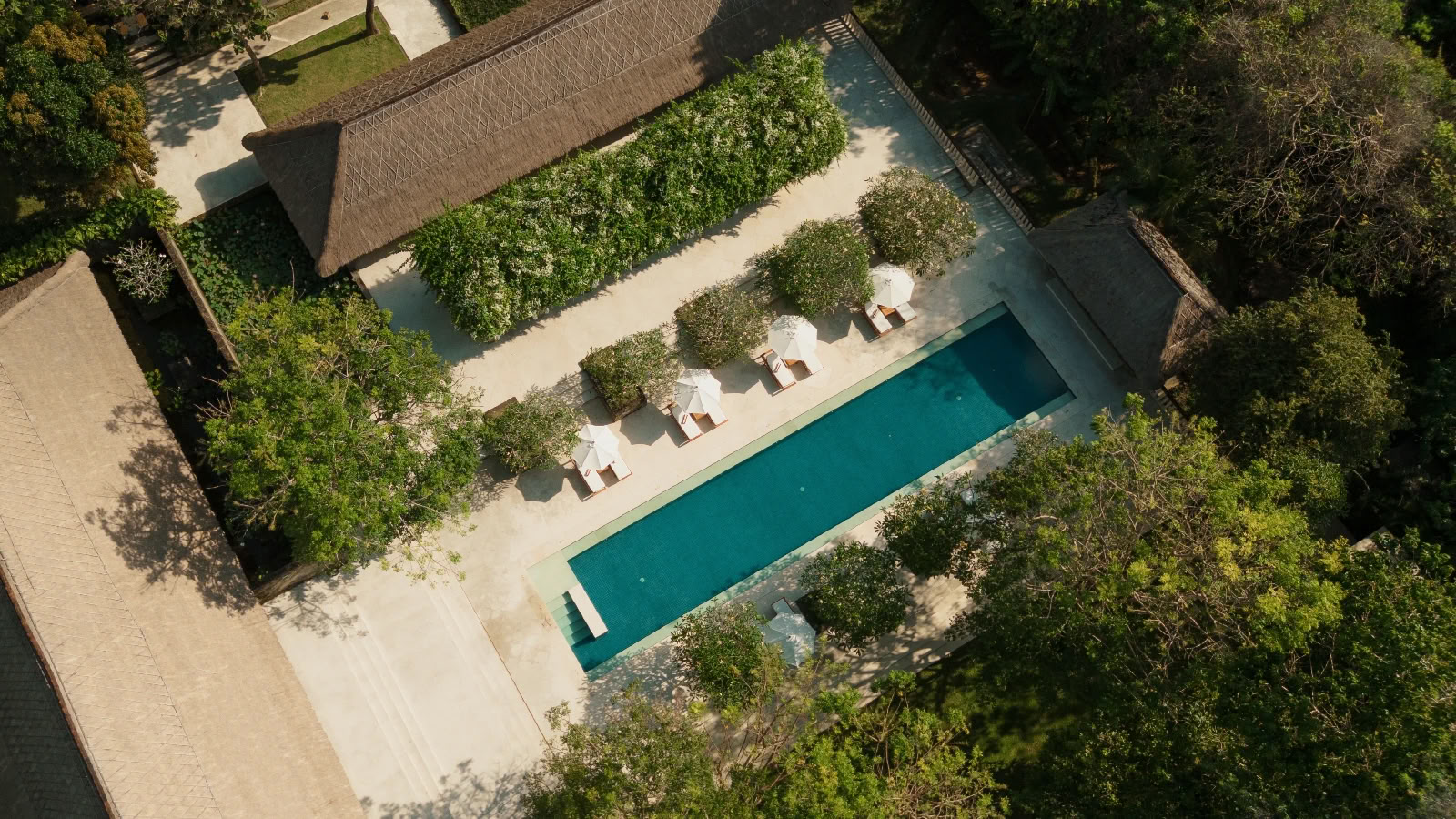 De Blue Zones®-retreat