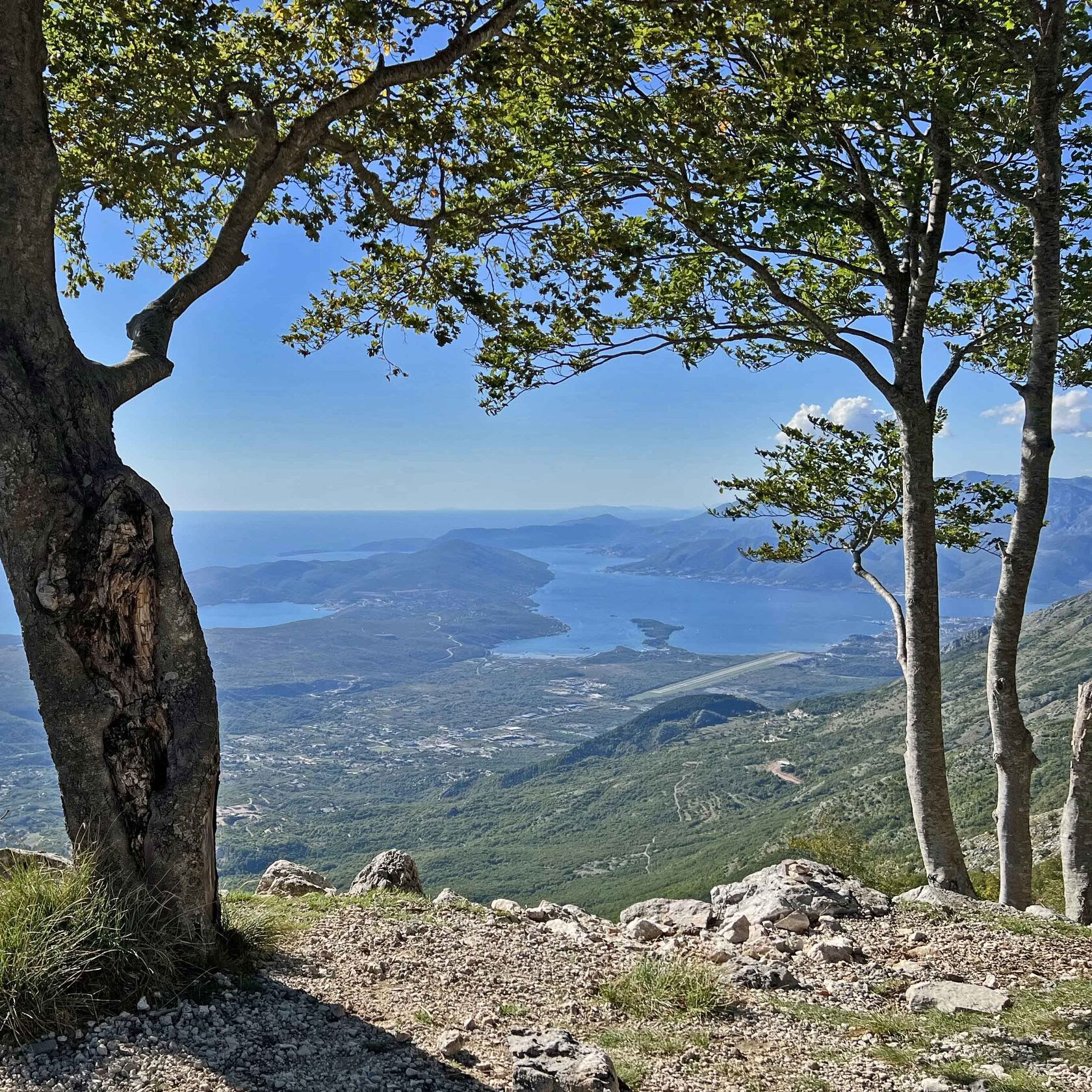 1-daagse natuuruitstap
