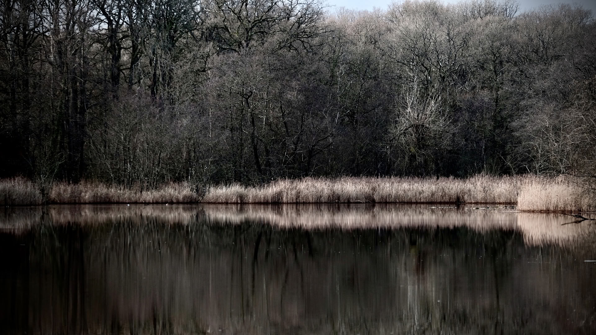 Wild weekend – goed de winter doorkomen
