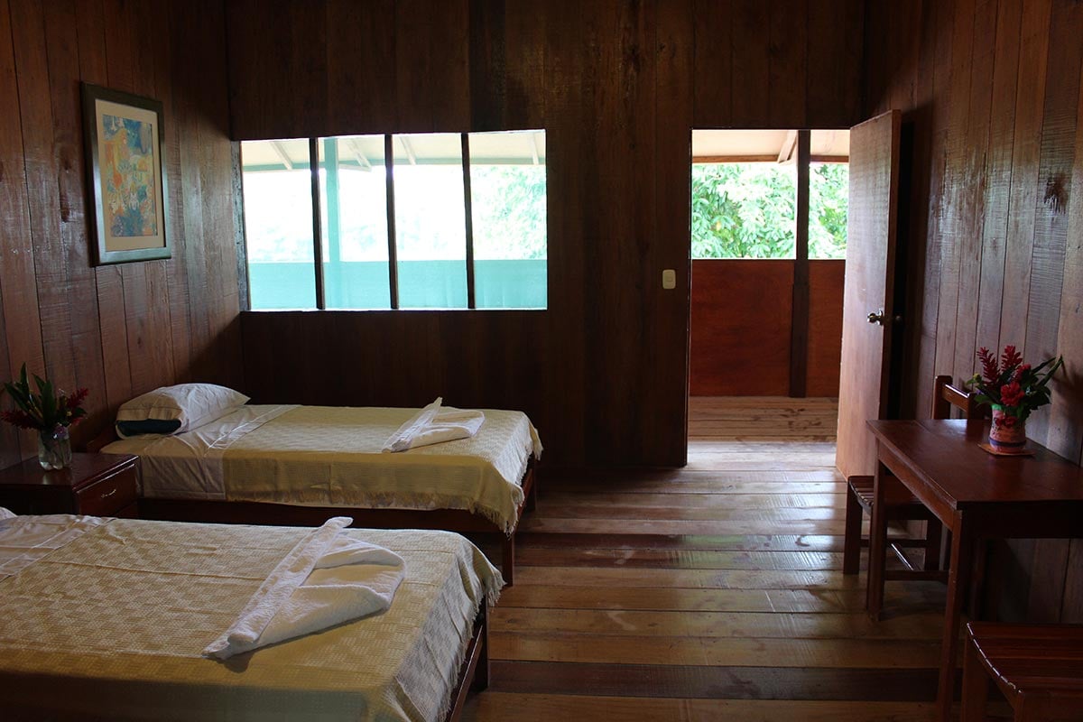 Ayahuascastichting