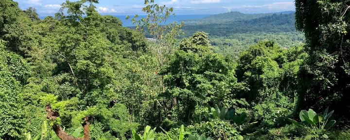 Samasati Retreatcentrum