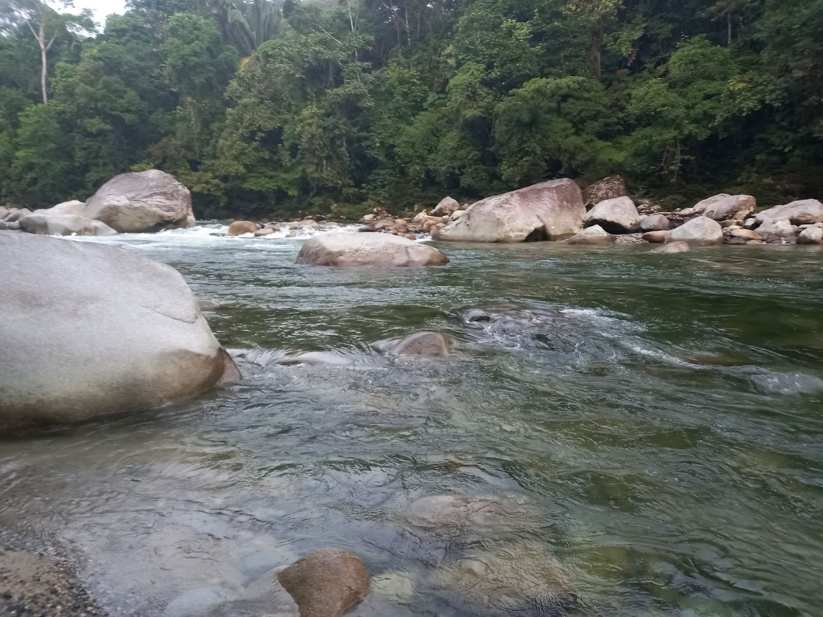 Veer Kroon Ayahuasca Ecuador