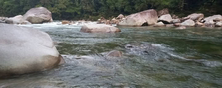 Veer Kroon Ayahuasca Ecuador