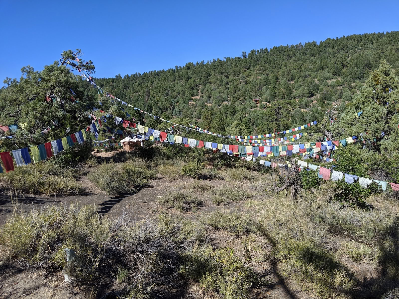 Tara Mandala boeddhistisch retraite