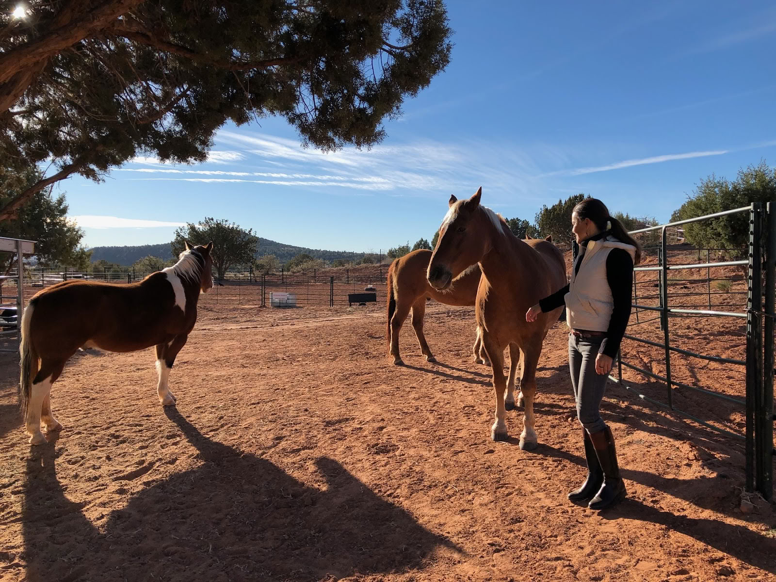 Sedona Ranch