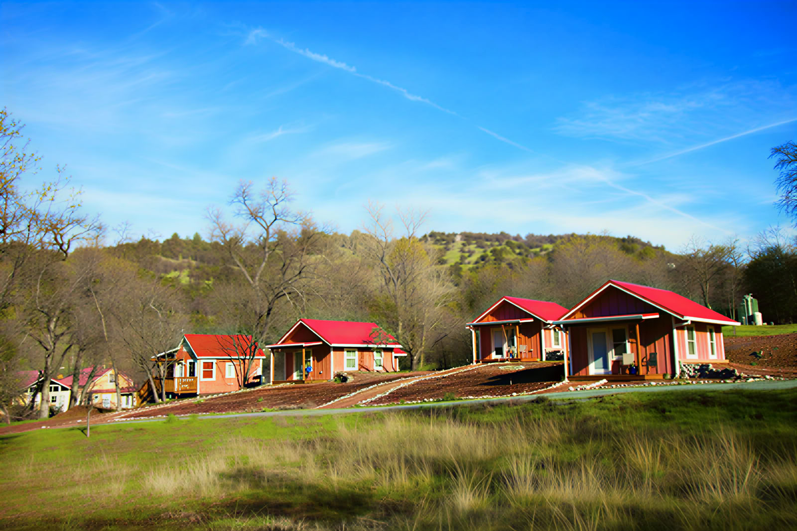 Sivananda Ashram Yogaboerderij
