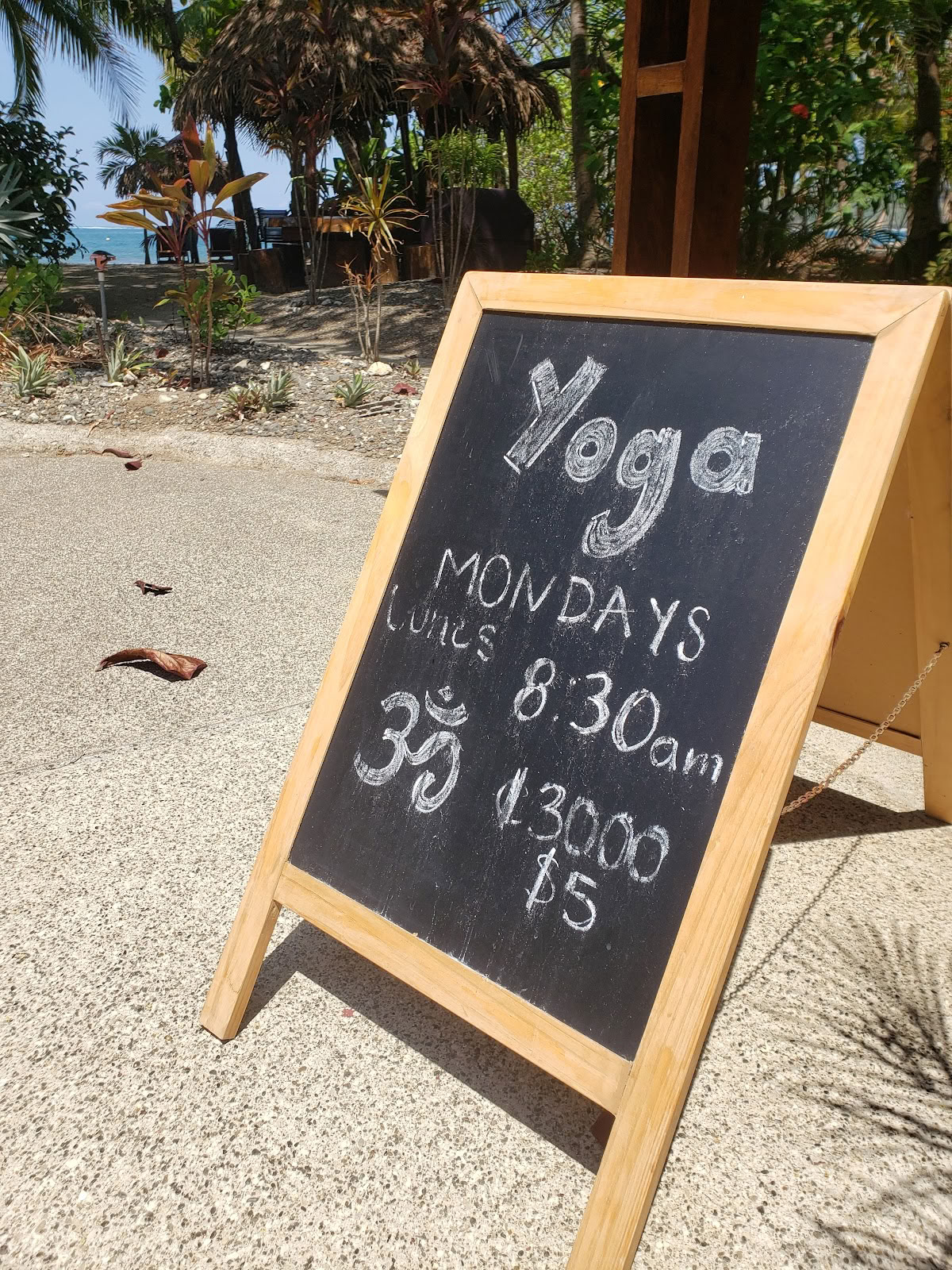 Maanlichaam Yoga