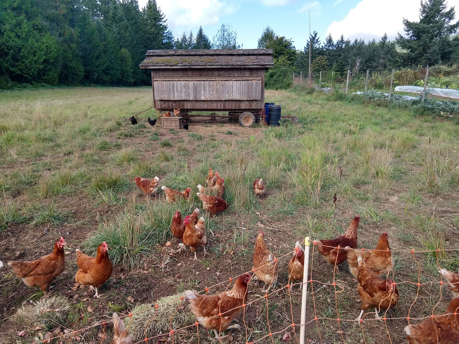 Stowel Lake Farm