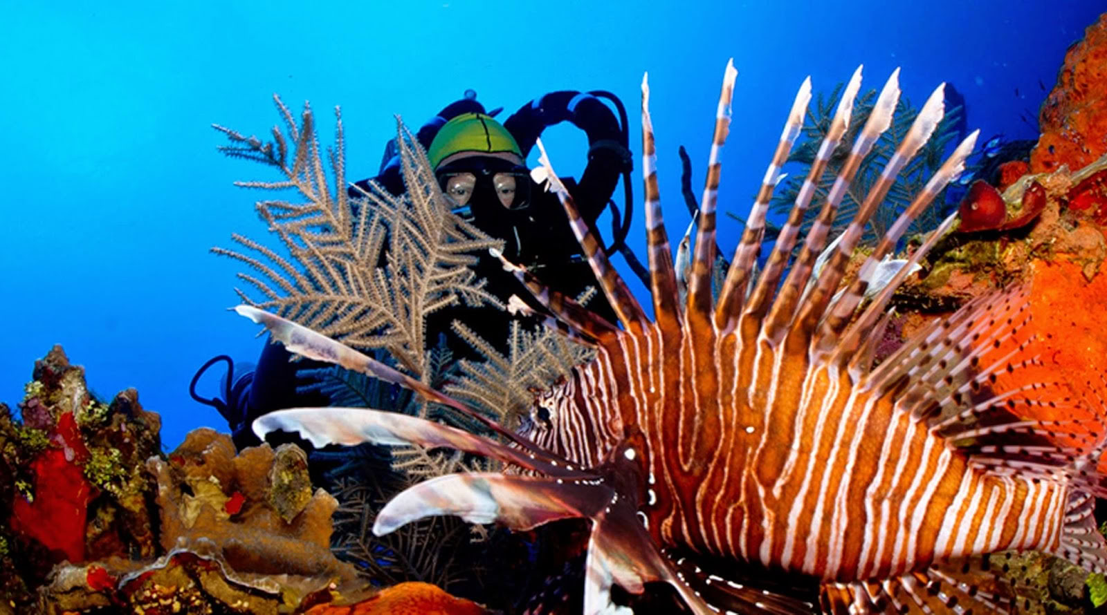 Oceanische ondernemingen, Inc