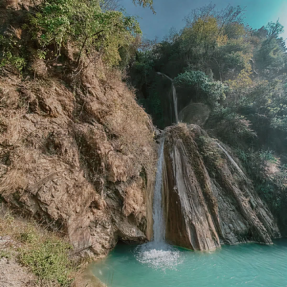 Rishikesh Yog Nirvana