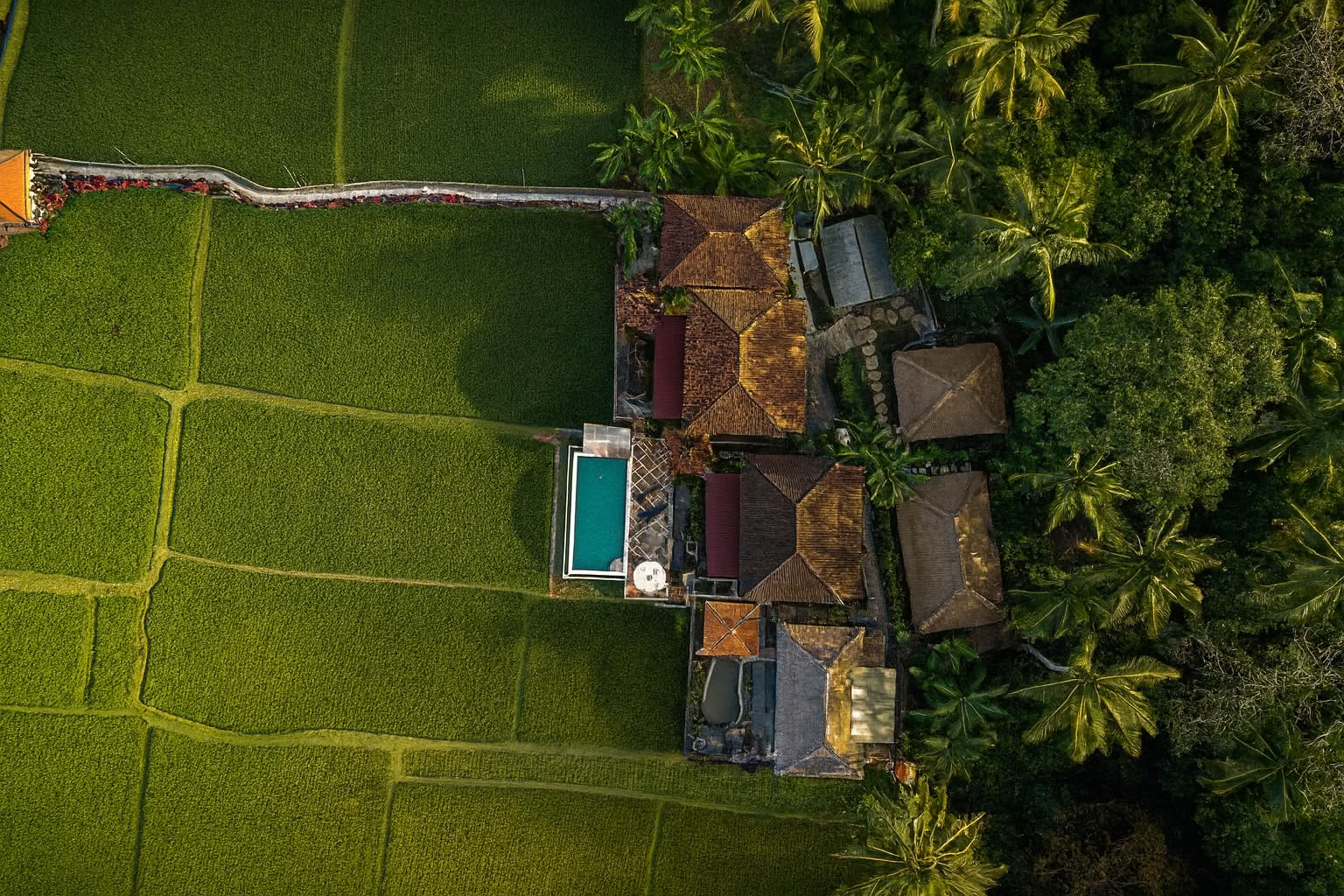 Vuurvliegretreat