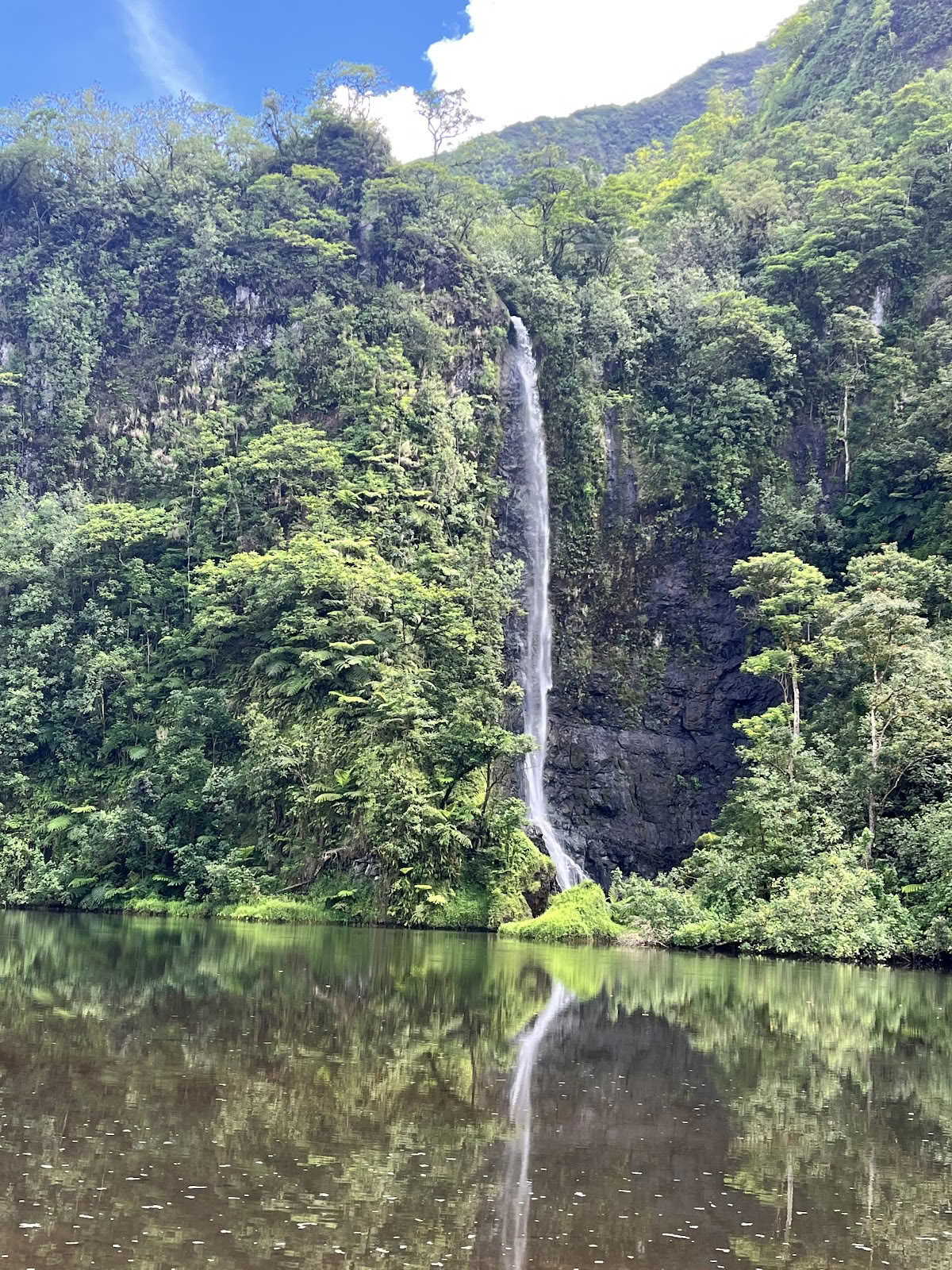 Te Mana Tahiti Tours