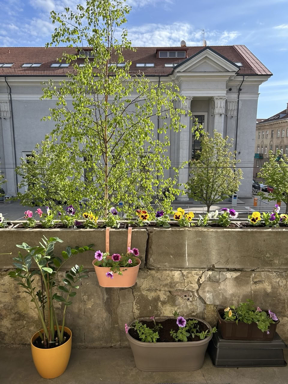 Sivananda Yoga Vedanta Centrum in Vilnius