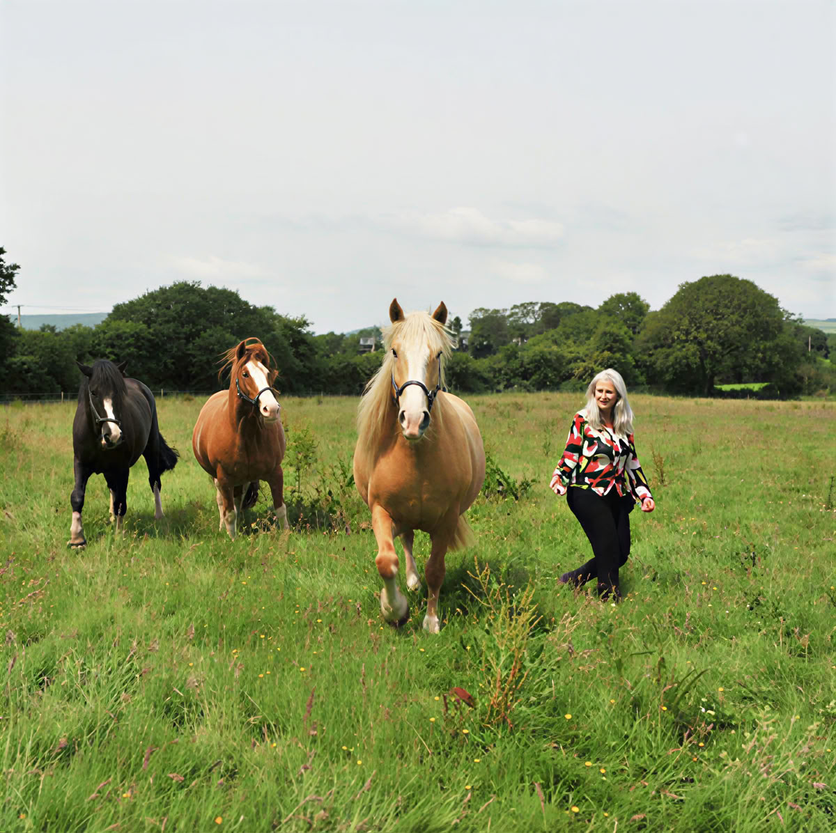 Epona Retraitecentrum