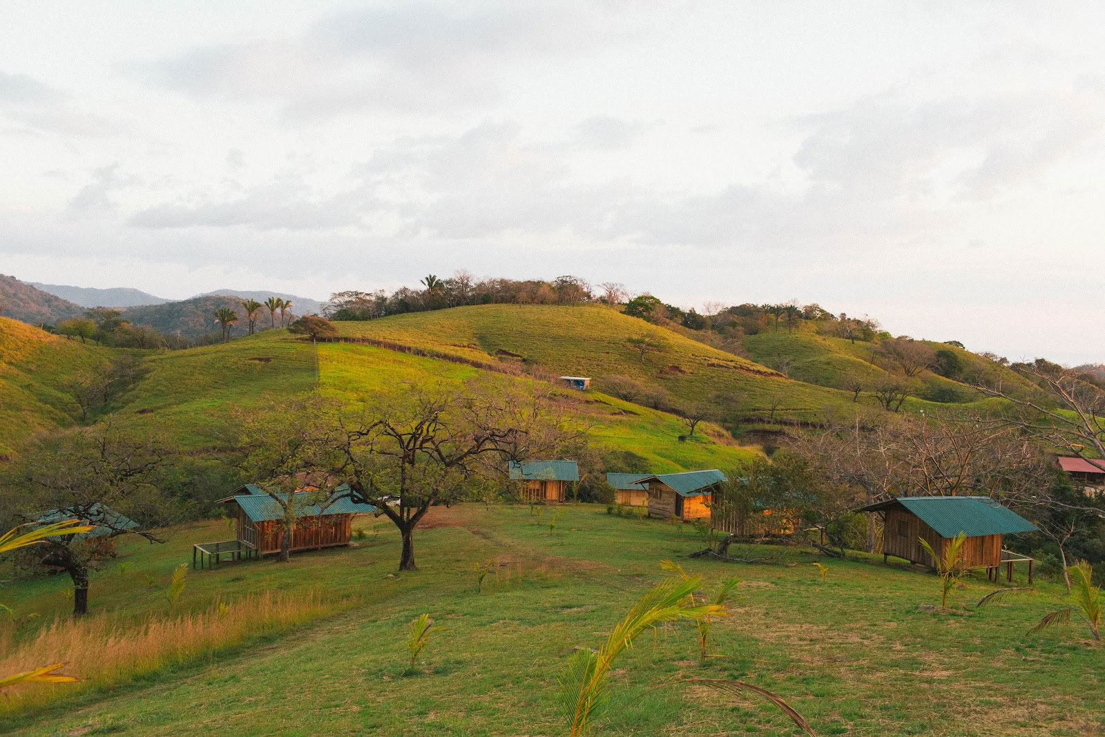 Tierramor