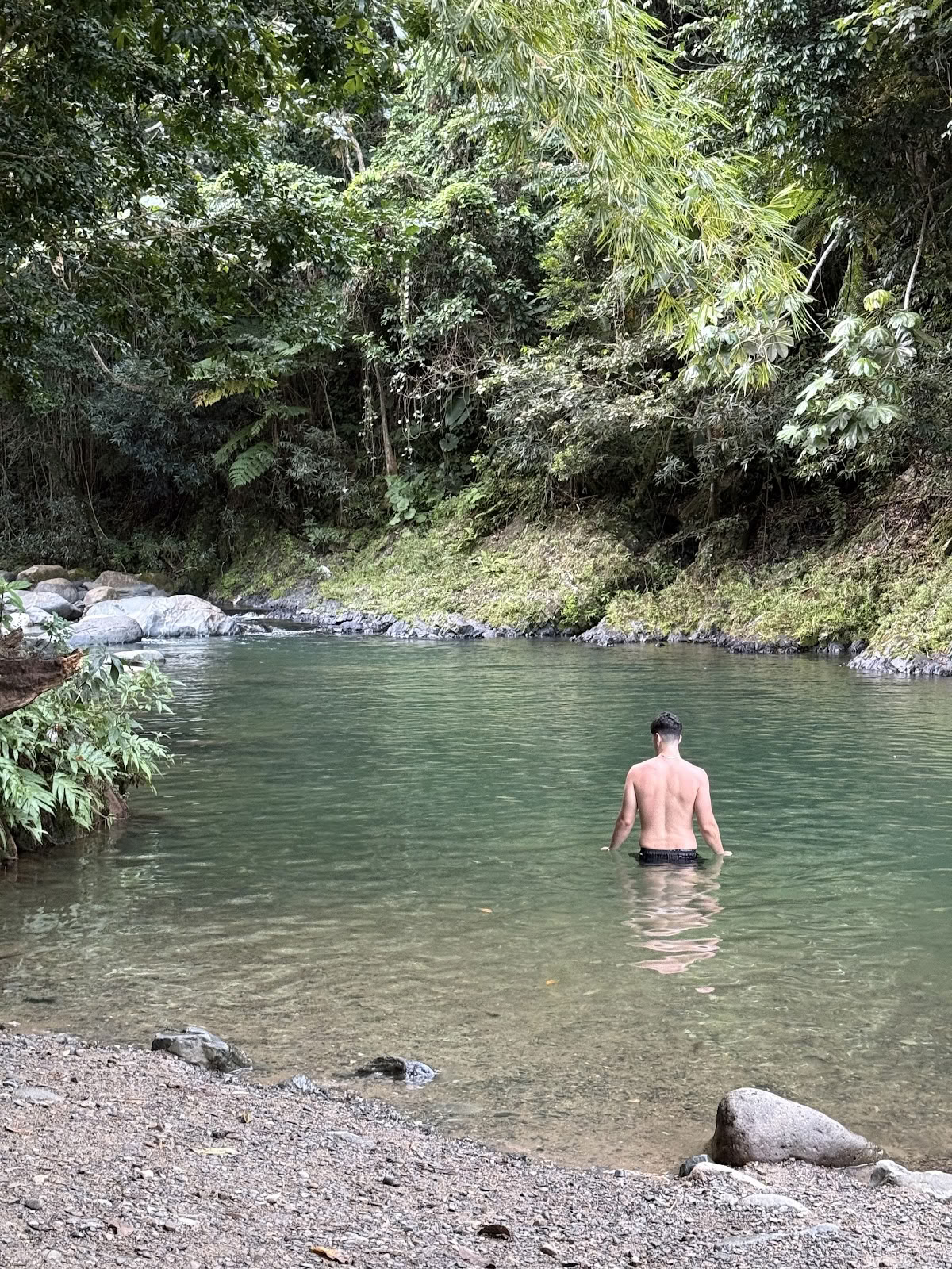 El Yunque Tours Inc.